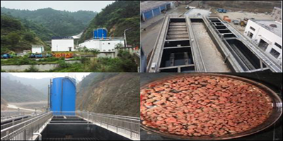 厌氧氨氧化污水脱氮技术研究与工程转化