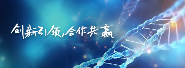 创新引领 合作共赢